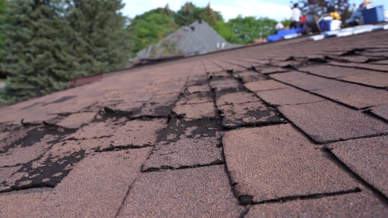 Best Asphalt Shingles Roofing  in Princeton, WI