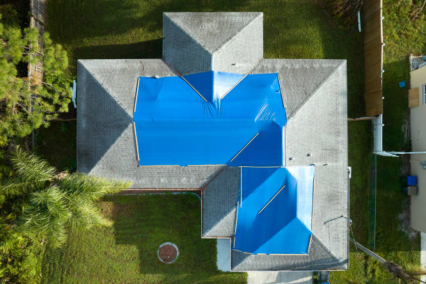 Best Steel Roofing  in Princeton, WI