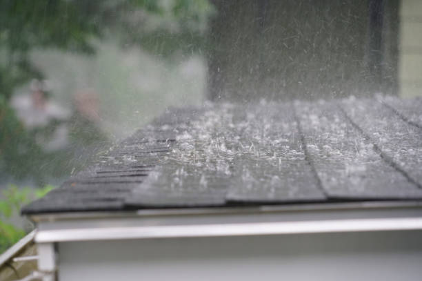Best Gutter Installation and Repair  in Princeton, WI