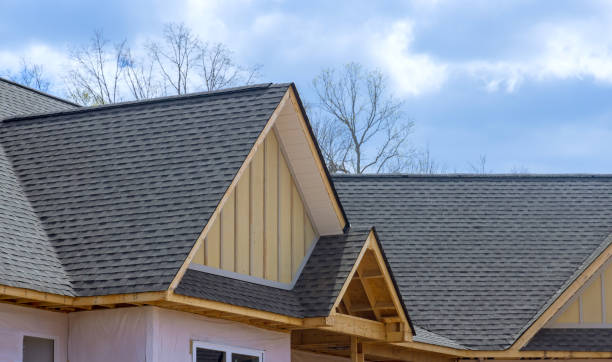 Best Roof Moss and Algae Removal  in Princeton, WI